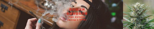 мяу мяу мука Медвежьегорск