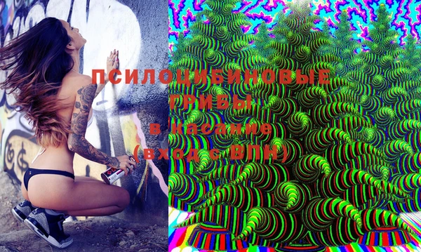 PSILOCYBIN Валдай