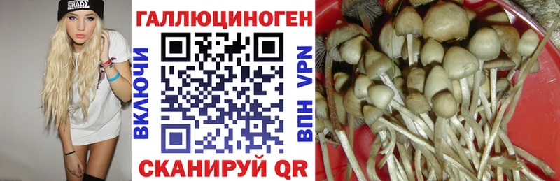 Галлюциногенные грибы прущие грибы  Заозёрный 